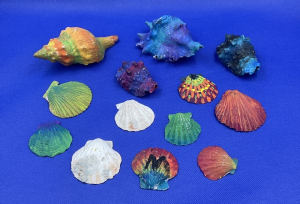 Sea Shell Paintings