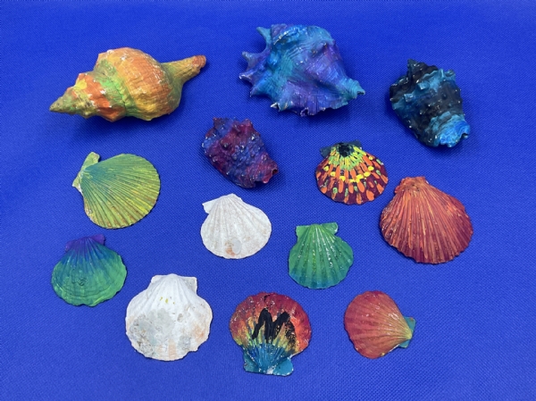 Sea Shell Paintings