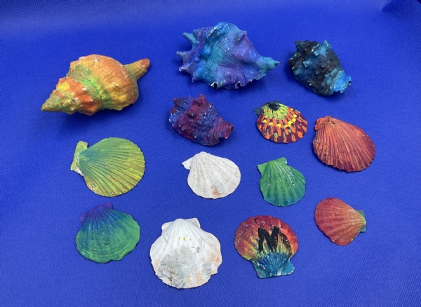 Sea Shell Paintings