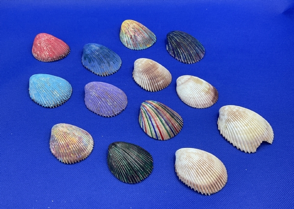 Sea Shell Paintings