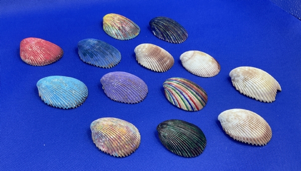 Sea Shell Paintings