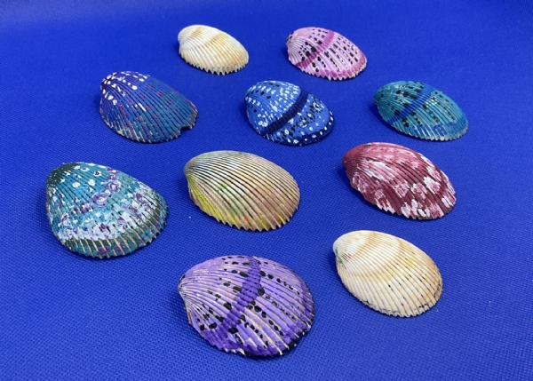 Sea Shell Paintings