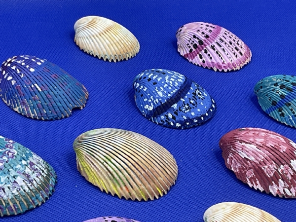 Sea Shell Paintings