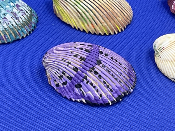 Sea Shell Paintings