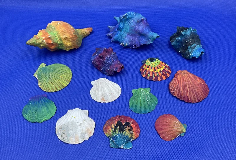 Sea Shell Paintings
