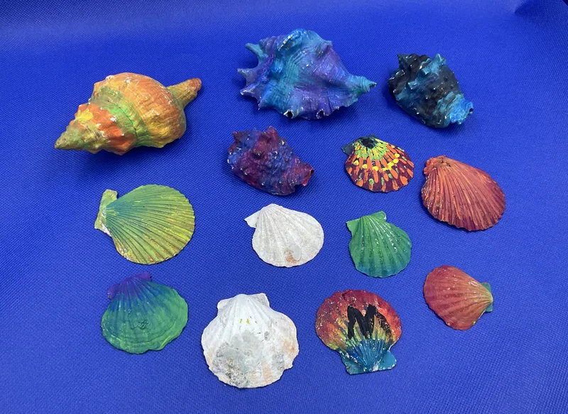 Sea Shell Paintings