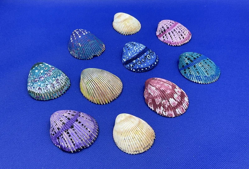 Sea Shell Paintings