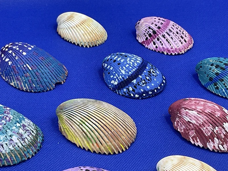 Sea Shell Paintings